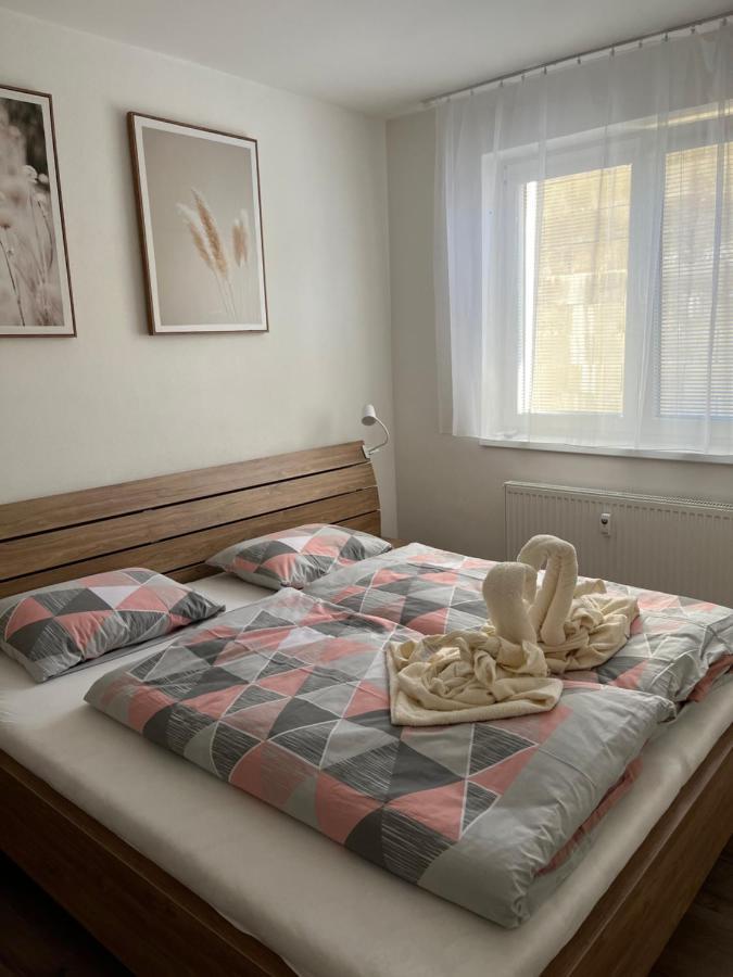 Novy Apartman V Arealu Wellness Hotelu Frymburk Dış mekan fotoğraf