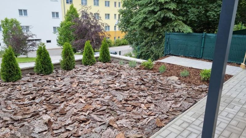 Novy Apartman V Arealu Wellness Hotelu Frymburk Dış mekan fotoğraf